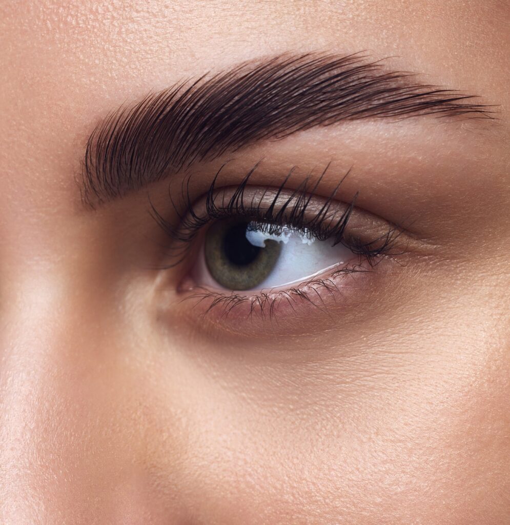 Close-up of an eye with a well-groomed, thick eyebrow and long curled lashes.